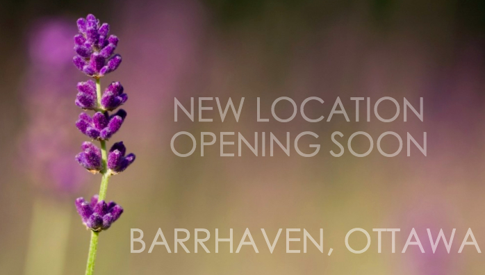 New Counselling Office in Barrhaven, Coming soon!
